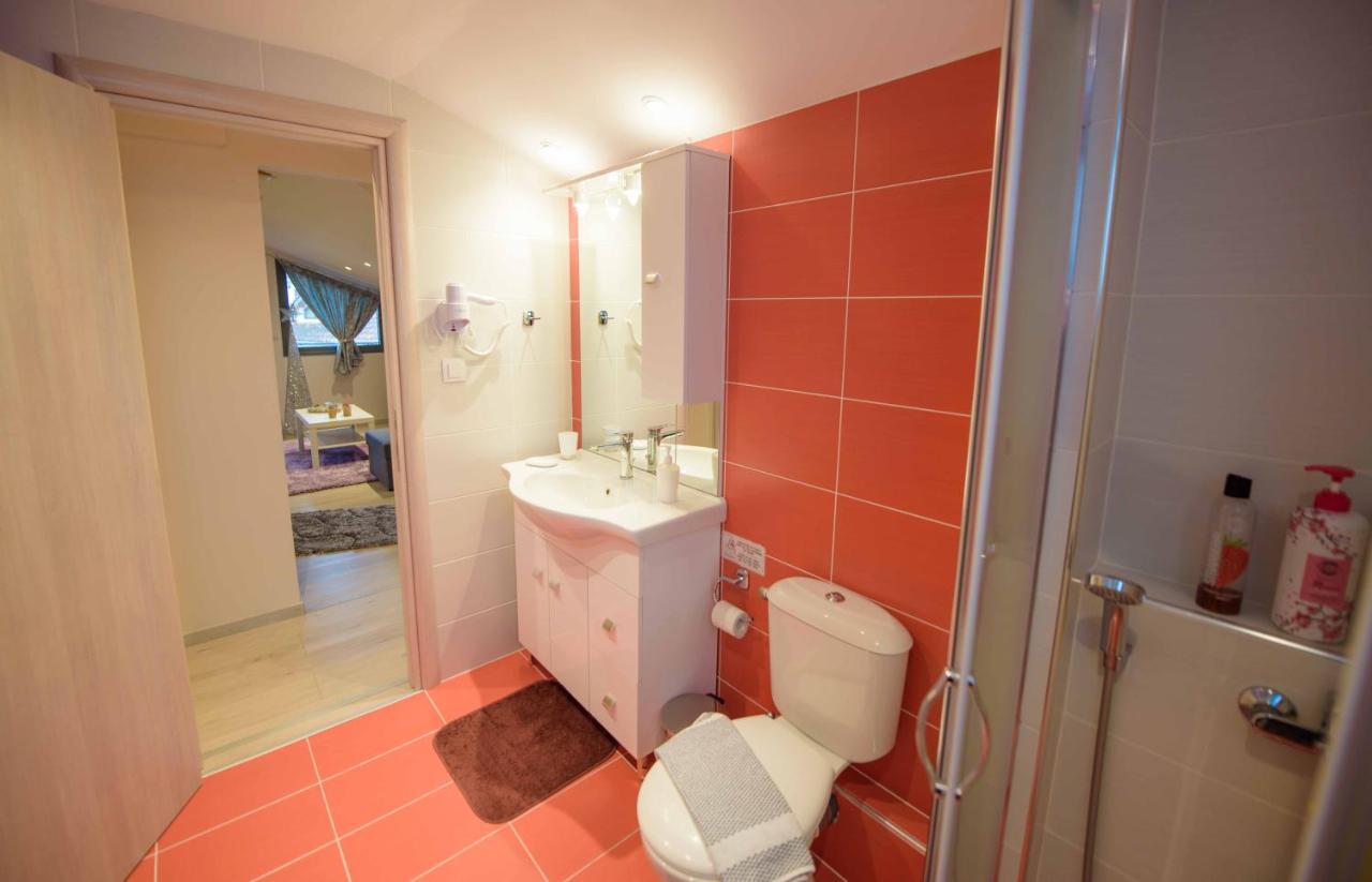 New Loft Polixeni Lägenhet Ioánnina Exteriör bild
